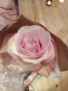 10715982_10204000068393783_1243120565_n