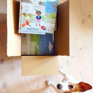 983828_10204396517744769_4900736929954031882_n